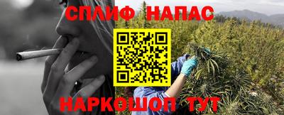 герыч Донецк