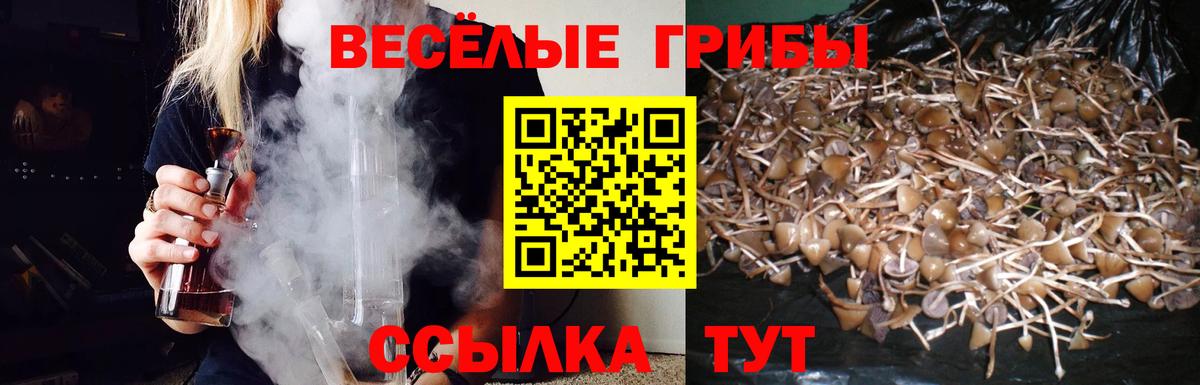 Псилоцибиновые грибы Magic Shrooms  Вход с VPN  Дятьково 